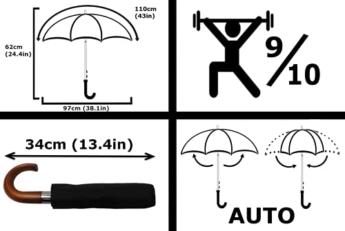 Rare 12 RIB Compact Windproof Umbrella for Rain - Auto Open Close - Vented Canopy - Strong Frame with Fiberglass - Trave